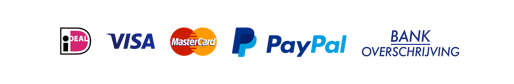 payment service providers